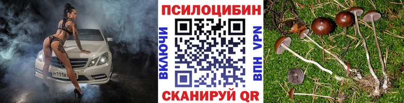 Псилоцибиновые грибы Magic Shrooms  Зарайск 